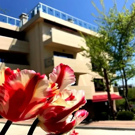 Victoriya's House 希萨里亚