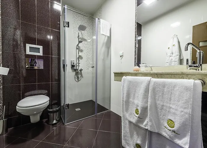 Victoriya's House 招待所 希萨里亚