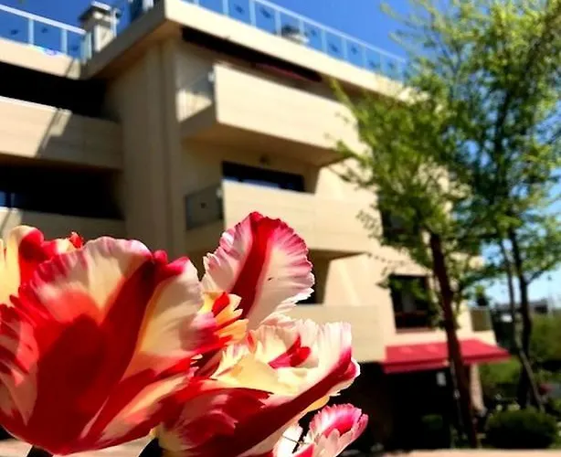 Victoriya's House 希萨里亚