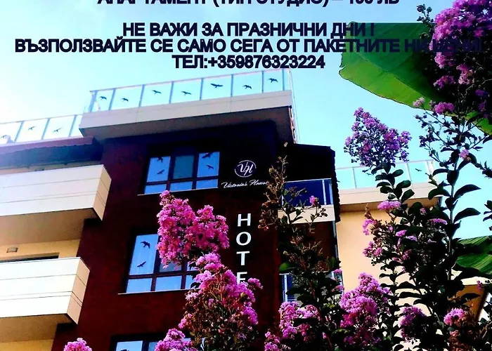 招待所 Victoriya's House 3*